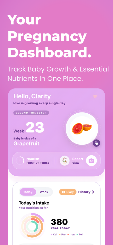 Pregnancy Food: PregnancyPlate - 임신 23주차 진행 상황과 일일 영양 섭취 추적기를 보여주는 모바일 대시보드