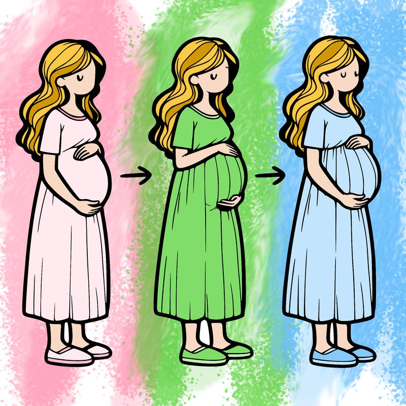pregnant lady