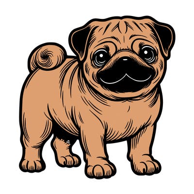 pug