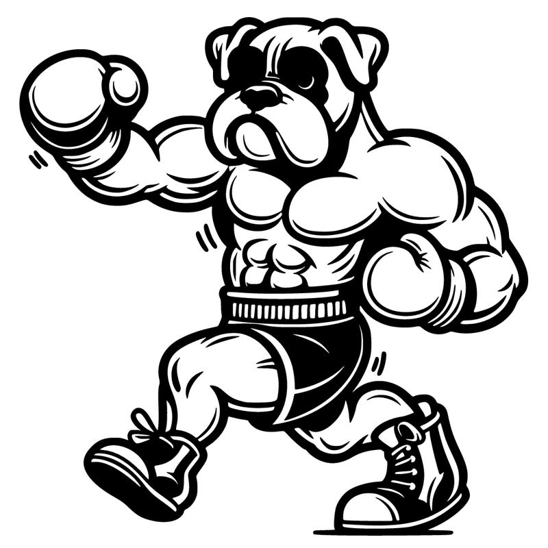 a boxer dog boxing