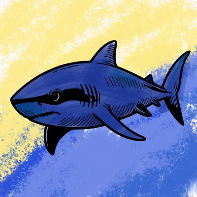 shark
