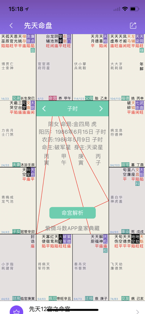 Chinese Zi Wei Dou Shu astrology app interface showing a traditional natal chart with twelve palaces