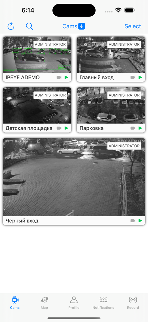IPEYE CCTV mobile App Dashboard mit Live-Ansichten mehrerer Sicherheitskameras