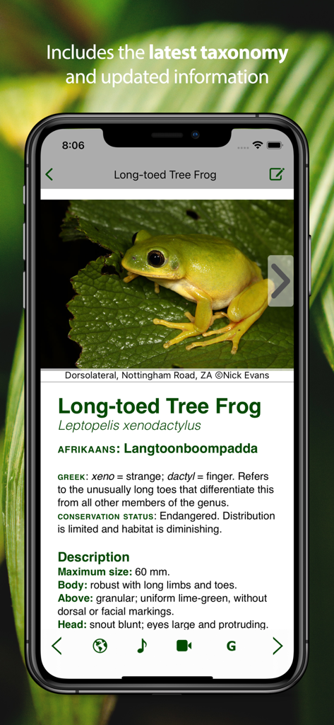 Detailed species profile of a Long-toed Tree Frog showing taxonomy and conservation status in the app