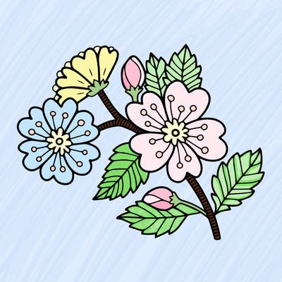 flowers_11