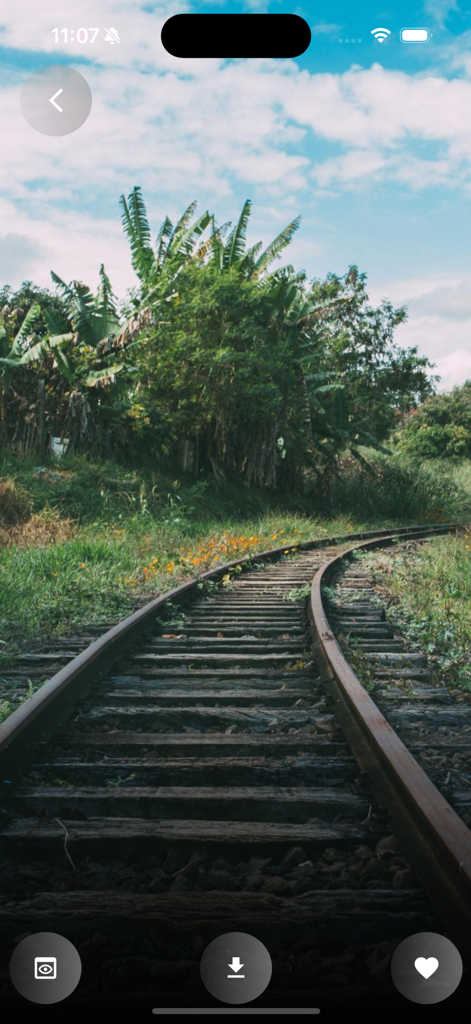 4K Wallpapers HD Background - Un fondo de pantalla 4K de naturaleza de alta definición que muestra una vía de tren curva a través de exuberantes árboles tropicales verdes