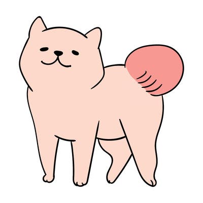 animals_29