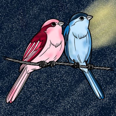 two realistic birds on a wire
