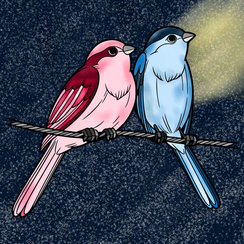 two realistic birds on a wire