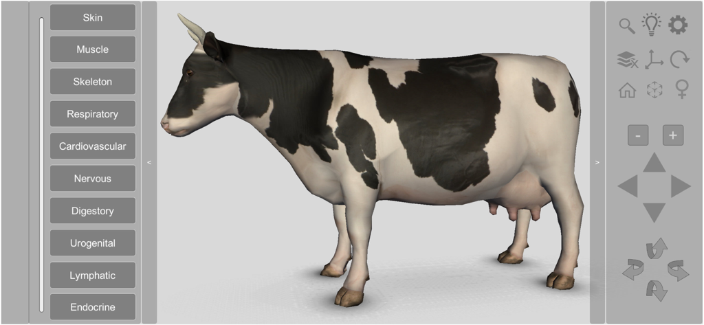 Um modelo 3D de uma vaca dentro de uma interface de aplicativo mostrando menus de sistemas anatômicos para educação