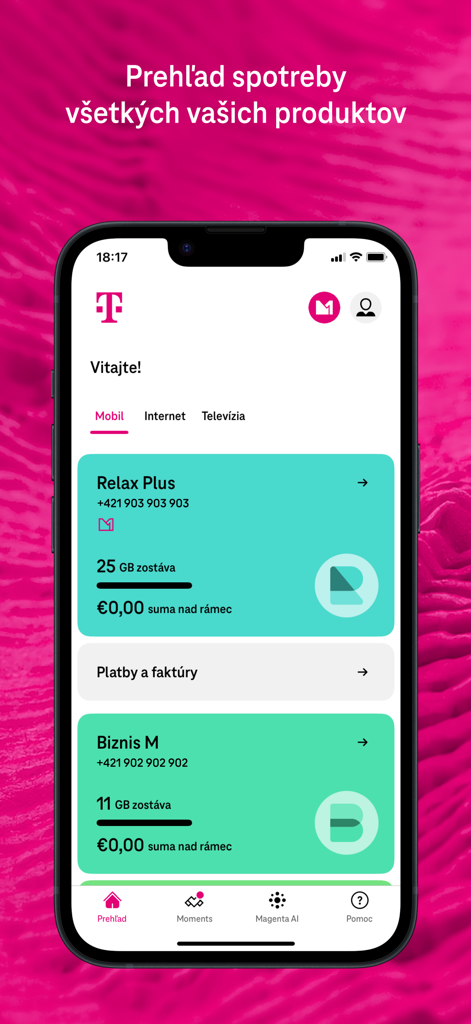 Telekom - Captura de pantalla de la aplicación Telekom que muestra el panel de control de uso de datos y gestión de cuentas.