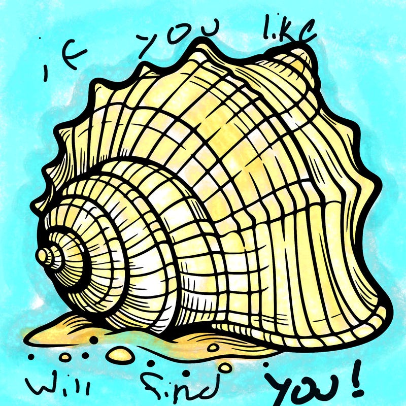sea shell