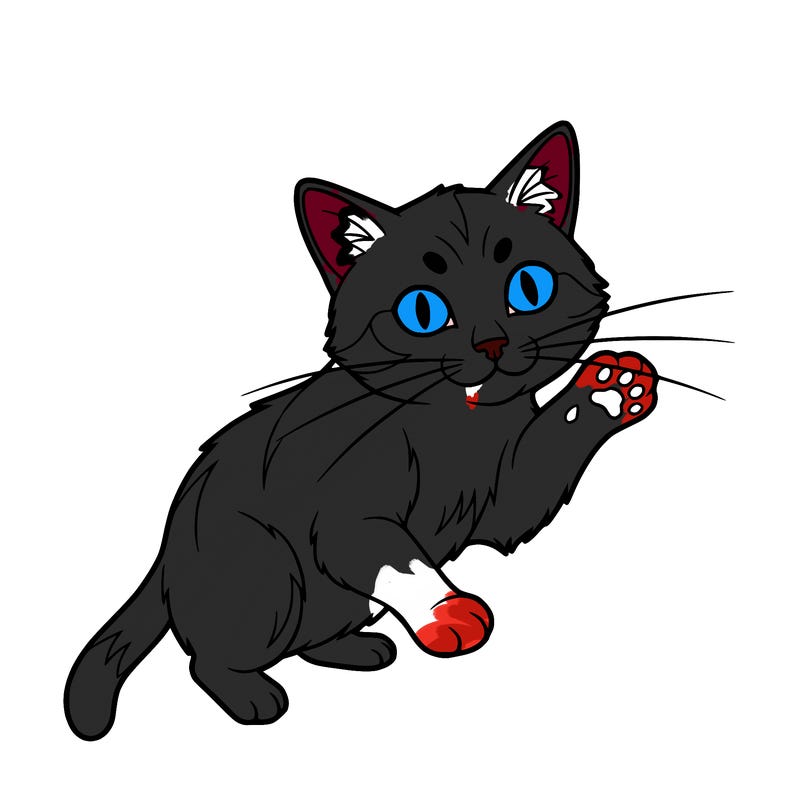a cat