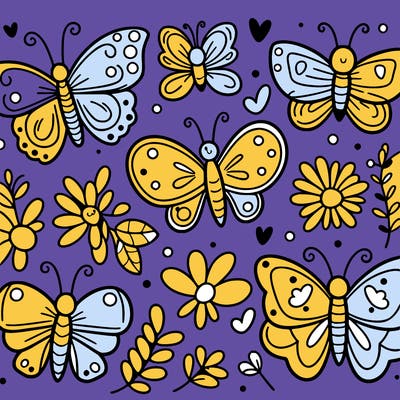 butterfly’s