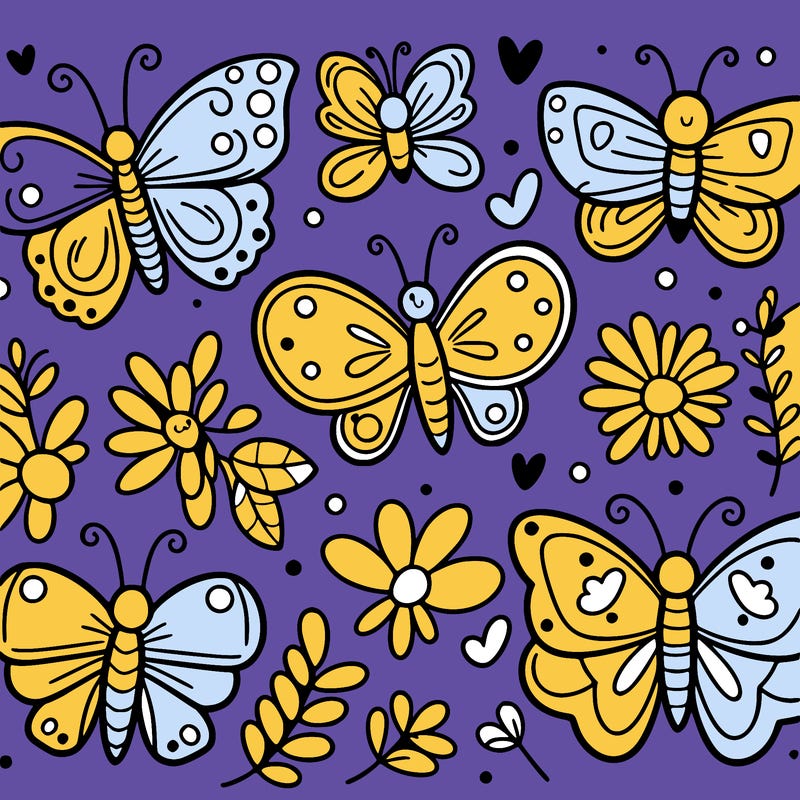 butterfly’s