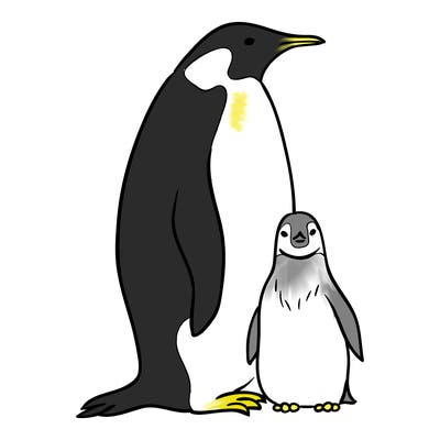 animals_31