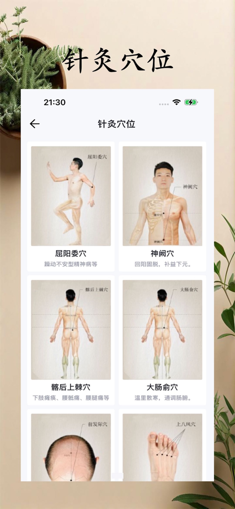 Mobile app screen showing a library of acupuncture points with anatomical diagrams and descriptions for TCM learning
