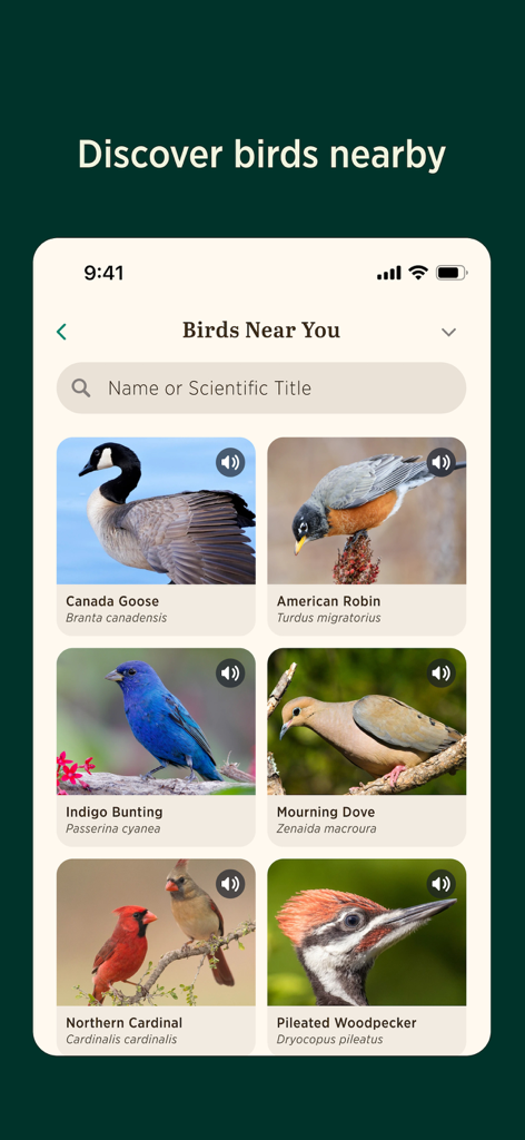 Audubon Bird Guide - Audubon Bird Guide app interface displaying a grid of local bird species like the Northern Cardinal and American Robin.