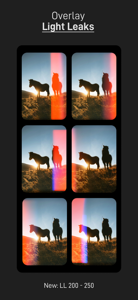 PICFX Picture Editor & Borders - A grid showcasing different vintage light leak overlays applied to a sunset photo of horses.