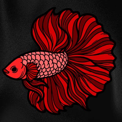 betta fish