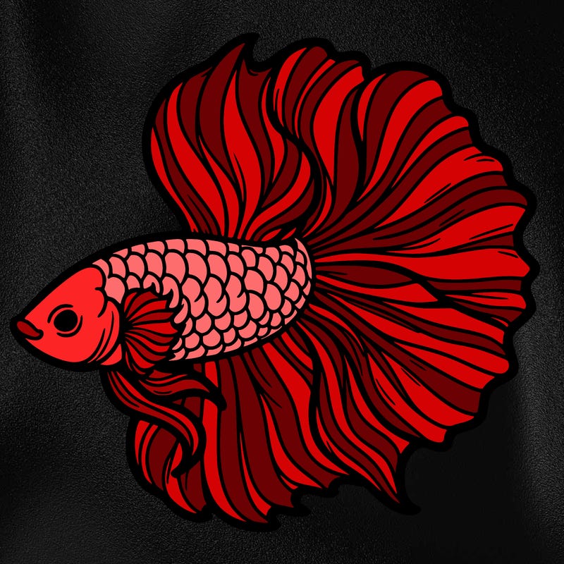 betta fish