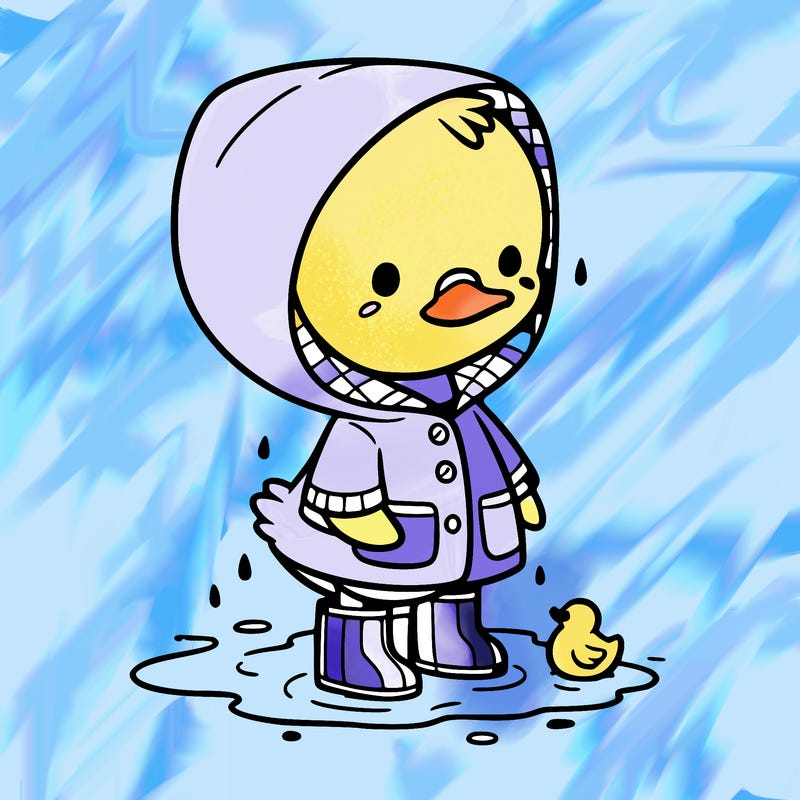baby duck in a rain coat and boots, in a puddle while it’s raining