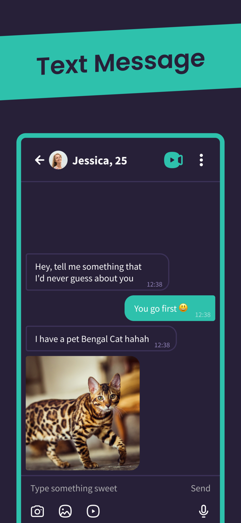 Livejoy - Livejoy app text message interface showing a chat with a shared cat photo