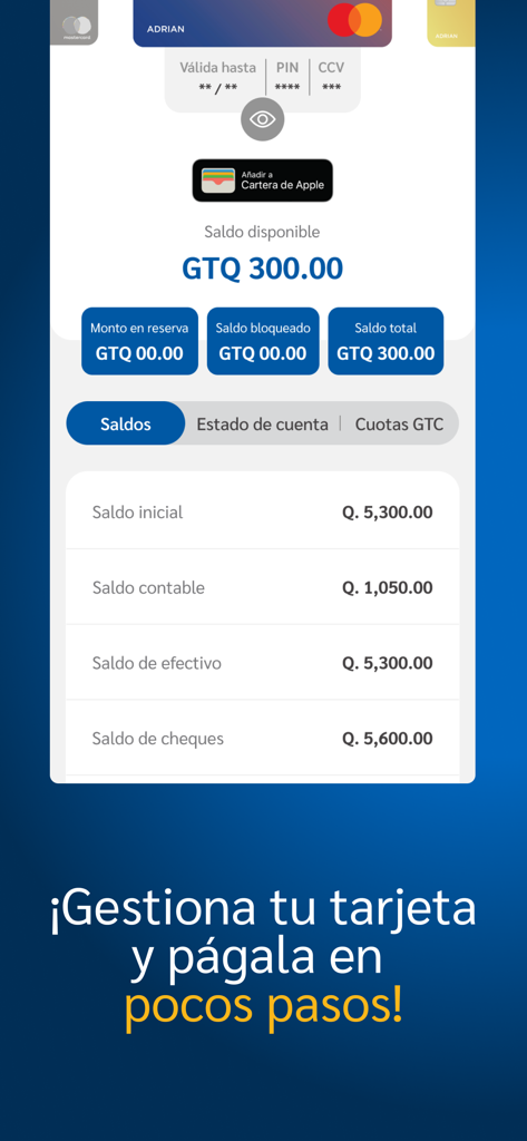 GTCApp - GTCApp interface for managing credit card balances and account details.