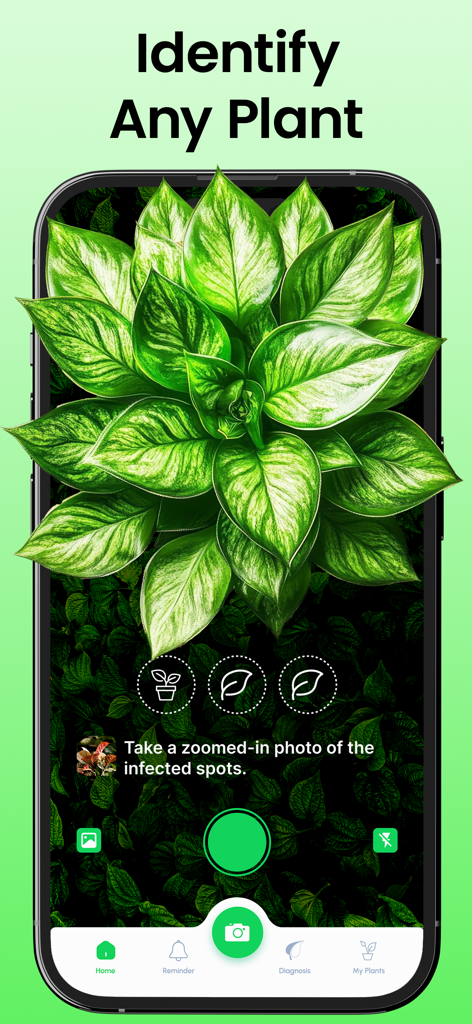 Plant Identifier + Plant Care - Pantalla de smartphone mostrando la aplicación identificadora de plantas escaneando una planta de interior de color verde vibrante para identificarla.