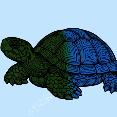 realistic turtle