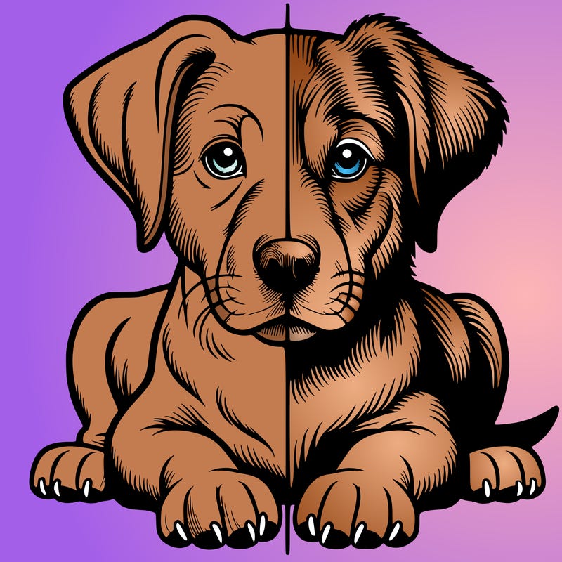 realistic dog split picture