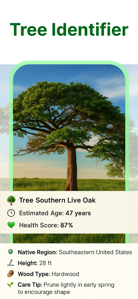 Plant Identifier - PlantScan - Interfaz de la aplicación móvil de PlantScan que muestra los resultados de identificación de un roble vivo del sur, incluyendo la puntuación de salud y los consejos de cuidado.