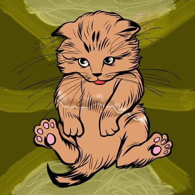 animals_20