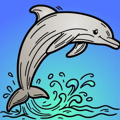 dolphin