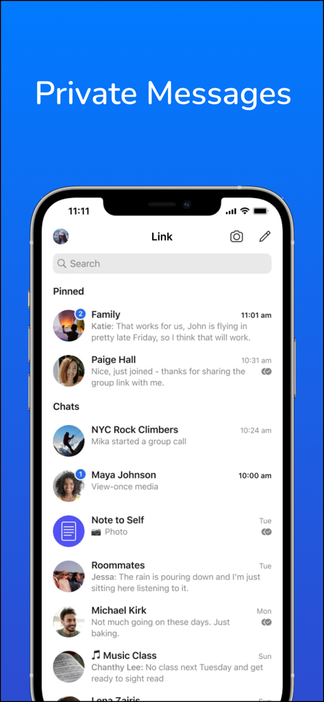 Link Messenger stories, calls - A smartphone display showing the Link Messenger app chat list with pinned messages and recent conversations.