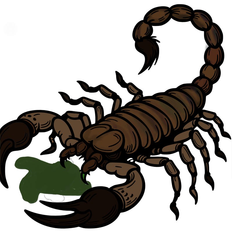 scorpion