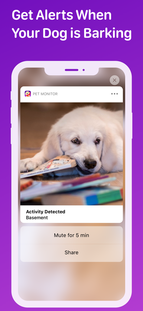Pet Monitor VIGI - Smartphone notification from Pet Monitor VIGI showing a dog activity alert with a photo of a white puppy.