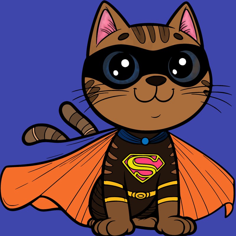 superhero cat