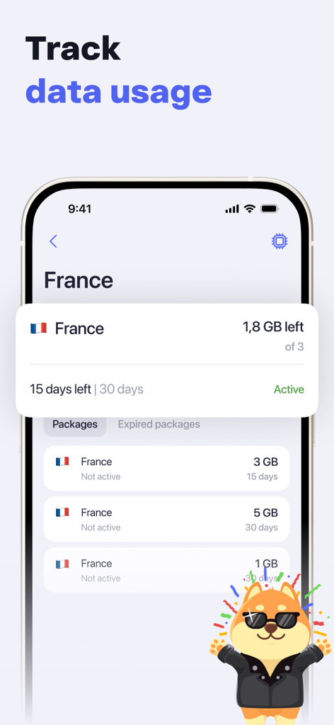SimHub: eSIM Travel Data - Interfaccia dell'app SimHub che mostra l'utilizzo dei dati monitorato e lo stato attivo per un piano di viaggio in Francia