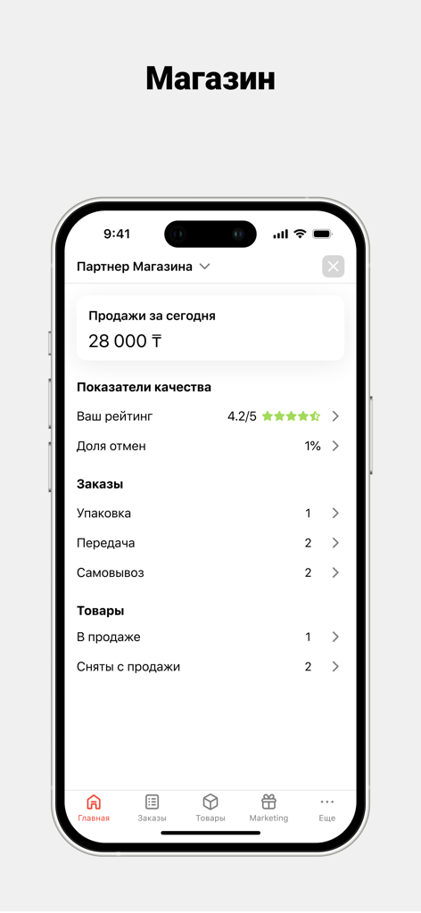 Kaspi Pay app dashboard showing store sales metrics, rating, and order statuses in Russian.