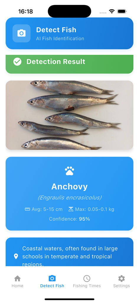 Fish Finder AI:Catch Time - A mobile app screen showing the AI detection result for several anchovies including scientific name, average size, and habitat information