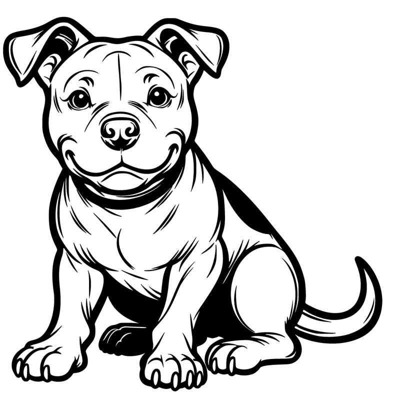 pit bull