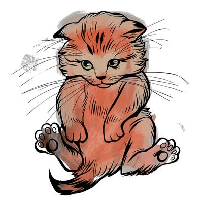 animals_20