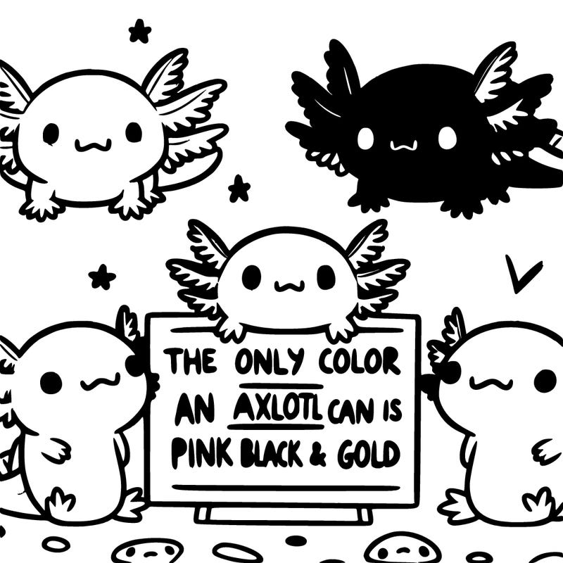 three  axolotl’s and a sign that says the only color an axolotl can be is pink black and gold  super cute animated