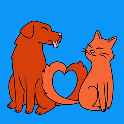 animals_22