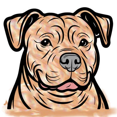 pitbull