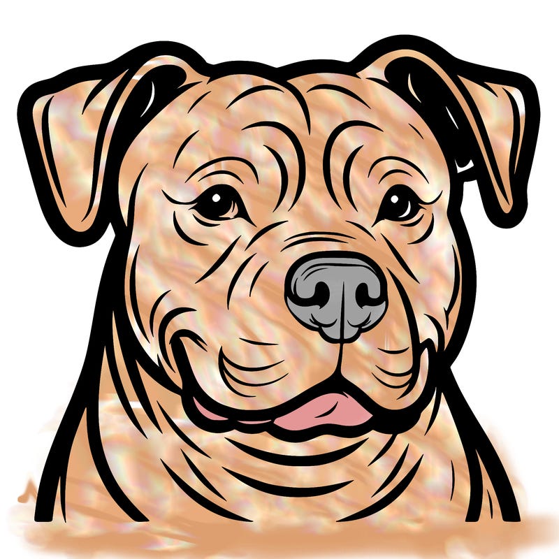 pitbull
