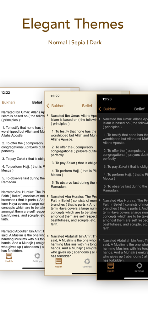 Aplicación Sahih Bukhari mostrando temas de lectura sepia normal y oscuro