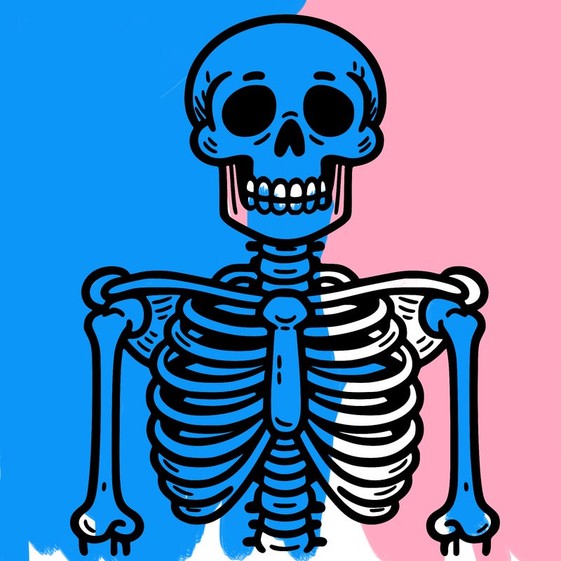 skeleton