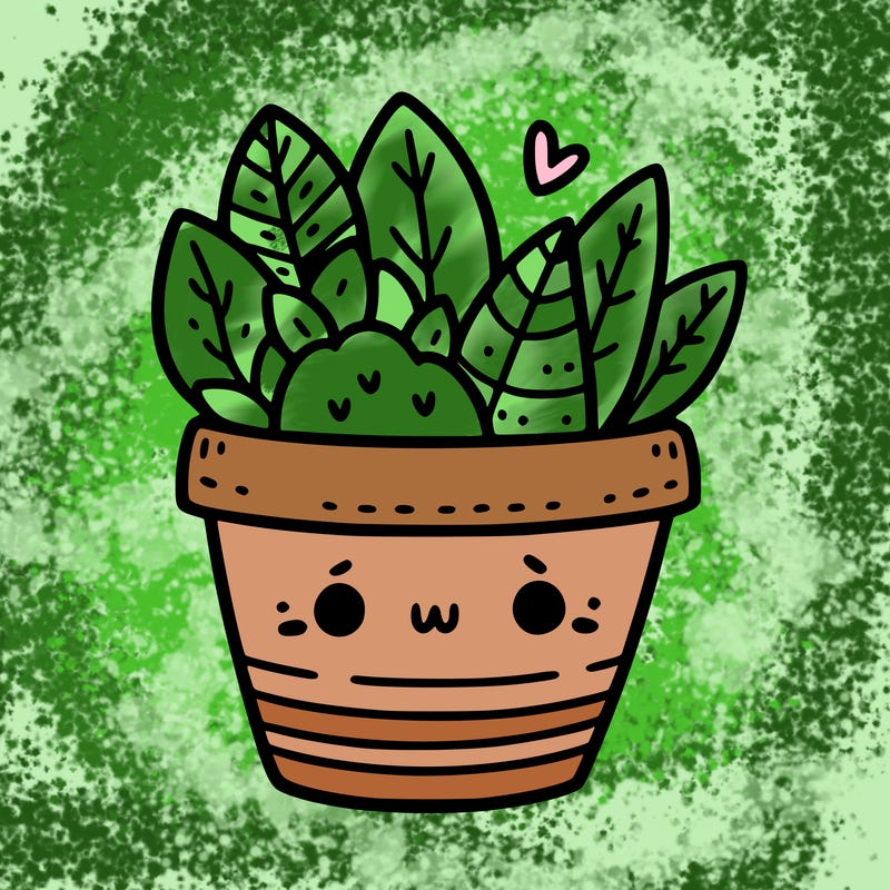 cute plant pot